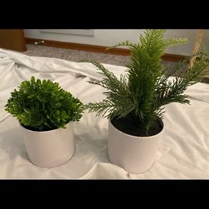 Two Threshold Faux Plants